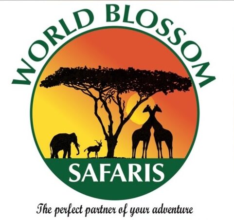 WORLD BLOSSOM SAFARIS logo